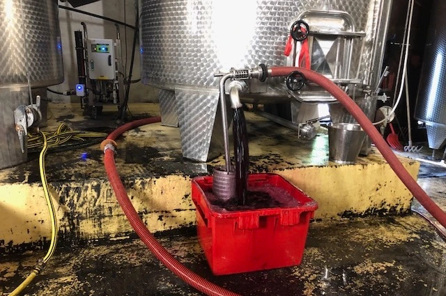 Abpumpen des Mostes Abpumpen des Mostes